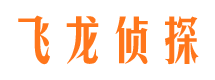 老城市侦探公司